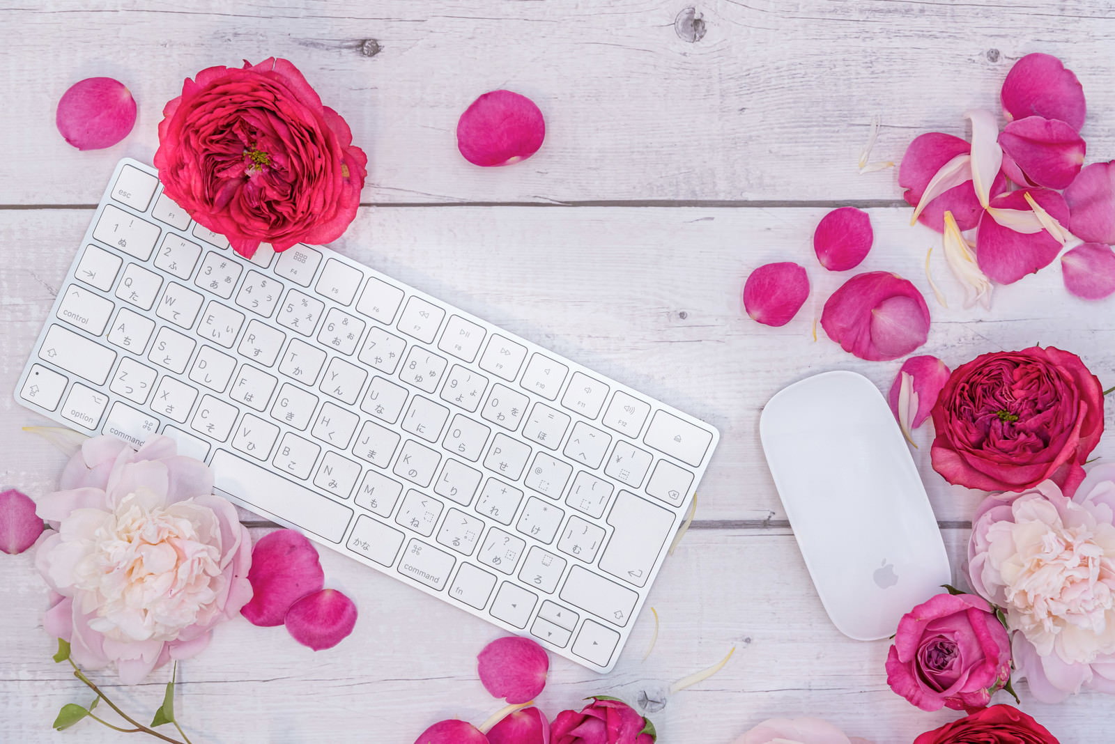 白いデスクの上のキーボードとマウス、ピンクの薔薇と散らばった花弁