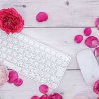 白いデスクに散る薔薇の花弁とキーボード、マウスの写真