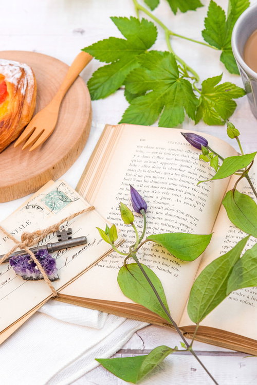 色鮮やかな洋書に添えたフルーツデニッシュとティータイム