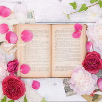 古書を囲むピンクの薔薇の花と花びら、光に透ける花弁の写真