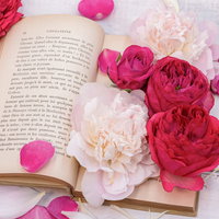 開かれた洋書の右ページを隠すように置かれた赤い薔薇の写真