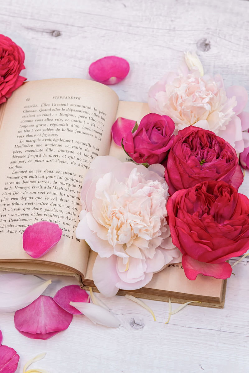 開かれた洋書の上に赤い薔薇と花びらが置かれている