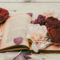 色褪せた薔薇と古書が置かれた木製テーブルの写真