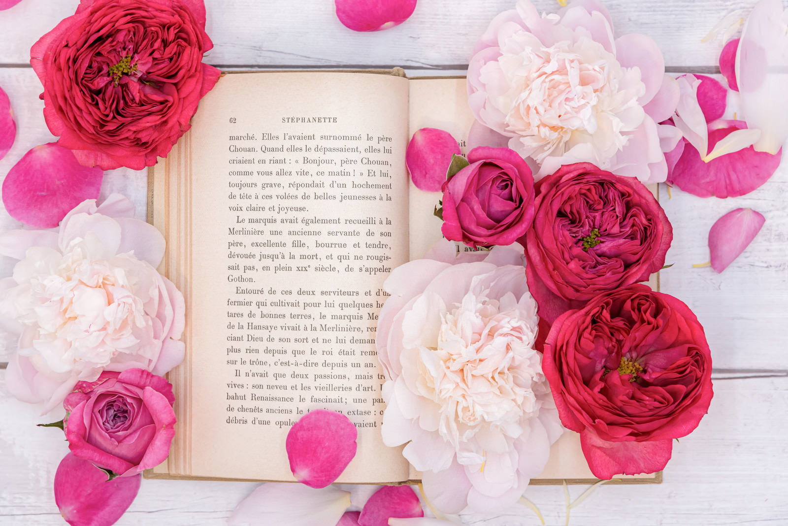 白い木目の背景に開かれた洋書と濃淡ピンクの薔薇が配置された写真