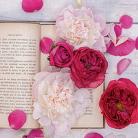 赤とピンクの薔薇と花弁で飾られた古書の上に散る花びらの写真