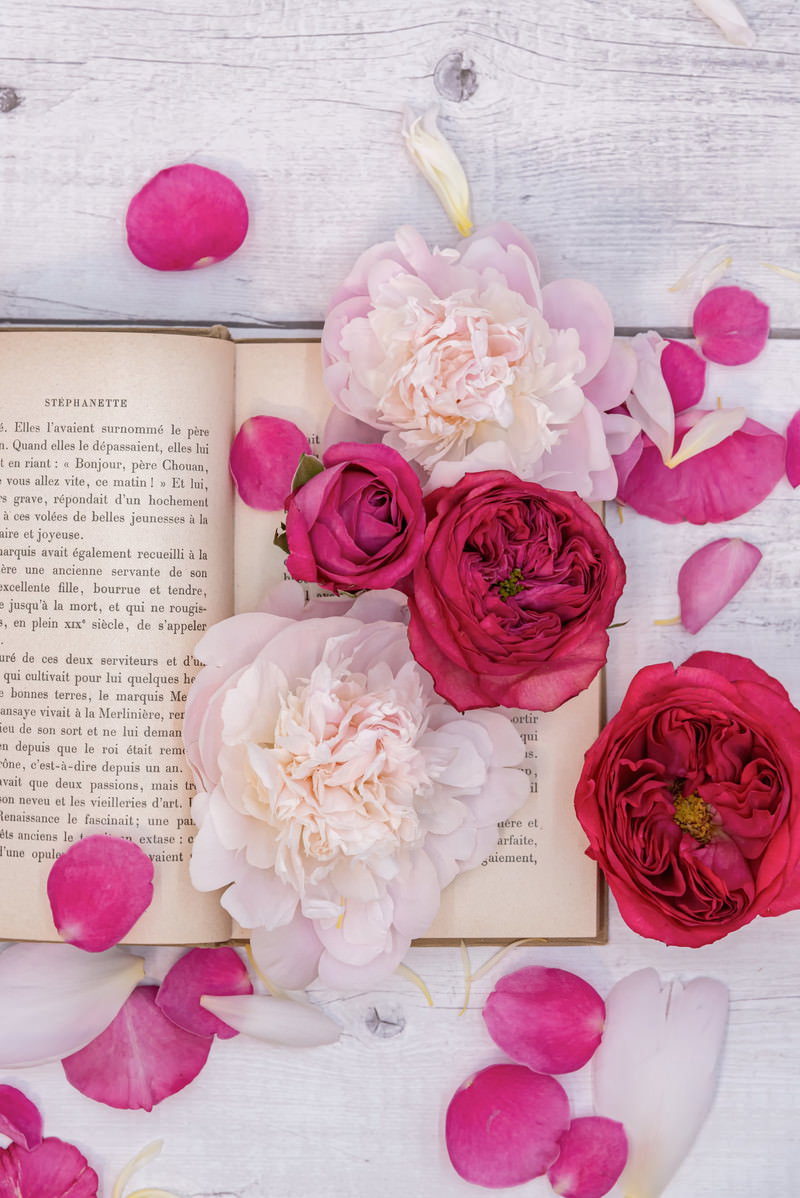 開かれた古書の上に赤とピンクの薔薇と花弁が美しく配置された装飾