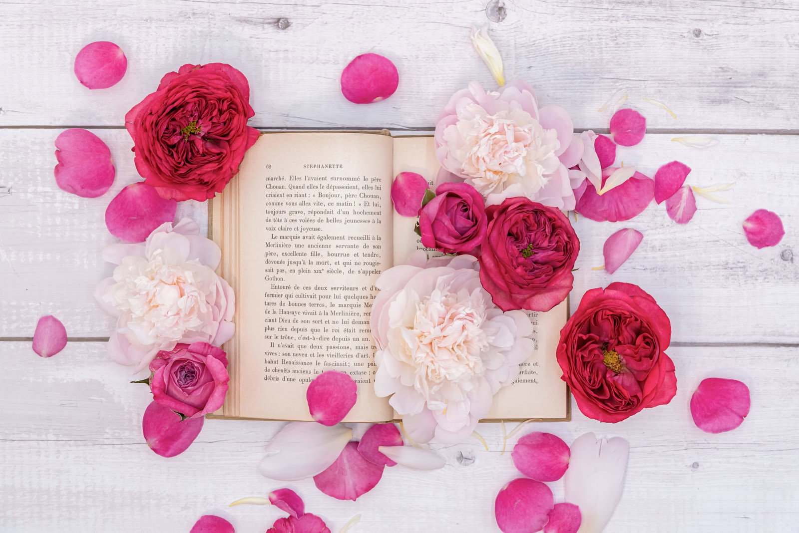 白い木材の上に開かれた古書とピンクの薔薇の花、散らばった花びらが配置された写真