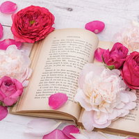 薔薇と花びらが積もる読みかけの古書、白い木目調の背景の写真