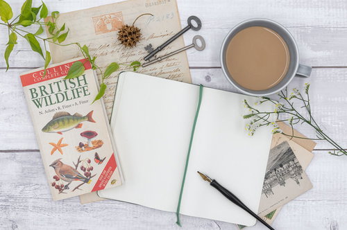 木製テーブルに置いた白紙のメモ帳と図鑑、ペンと小物