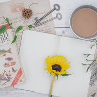 白紙のメモ帳に置かれた黄色い向日葵と植物図鑑の写真