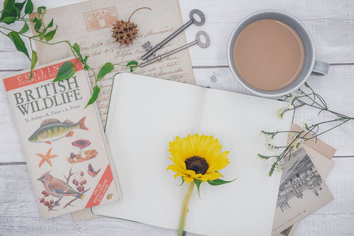 白紙のメモ帳に置かれた黄色い向日葵と植物図鑑