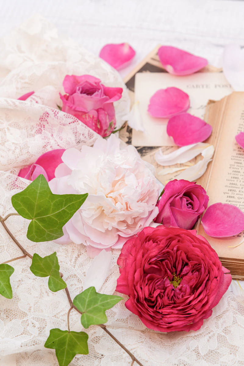 白いレースの上に濃いピンクの薔薇と淡いピンクの花びら、緑の葉が散らばっている