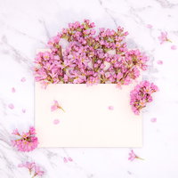 春のメッセージ、桜の花びら散る白い手紙と春便りの写真