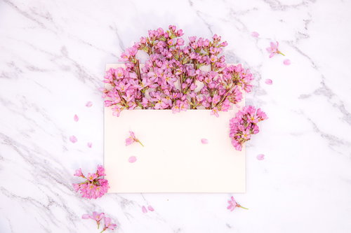 春のメッセージ、桜の花びら散る白い手紙と春便り