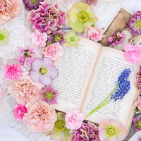 春の花と洋書が散らばるカラフルなデスク上の華やかなフラットレイの写真