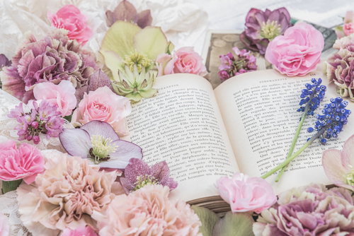 ピンクと紫の花に包まれた洋書のフラットレイ