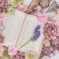 ピンクと紫の生花を散りばめた洋書のフラットレイの写真