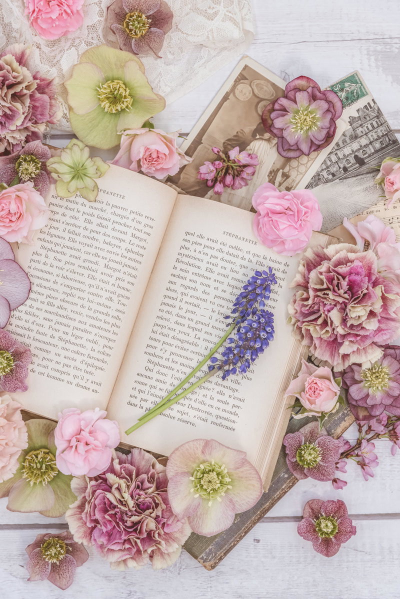 開かれた洋書の上にピンクや紫の花が散りばめられている様子