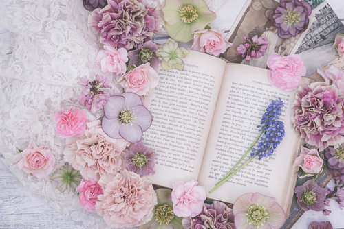 ピンクと紫の生花に囲まれた開かれた洋書の読書風景