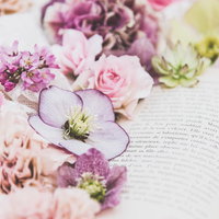 洋書のページに沿わせた生花の繊細な配置と読書シーンの写真