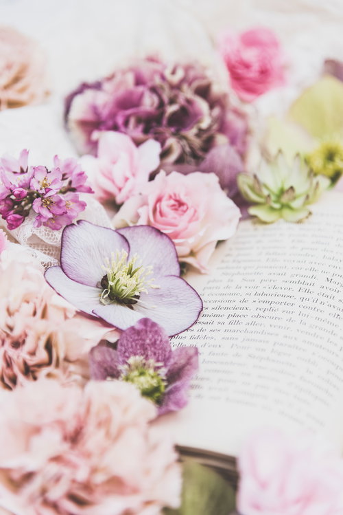 洋書のページに沿わせた生花の繊細な配置と読書シーン