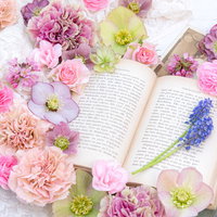ピンクとパープルの生花に包まれた開かれた洋書の写真
