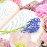開いた洋書に溢れる色とりどりの生花とフラワーアレンジメントの写真