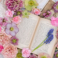 開かれた洋書を囲うピンクと紫の生花のフラットレイの写真