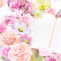 開いた洋書に沿うピンクの生花と読書の時間の写真