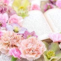 デスクの洋書の周りに散らばるピンク色の薔薇の写真