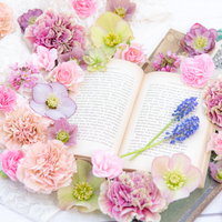 開かれた洋書を囲むピンク・紫のカーネーションの写真