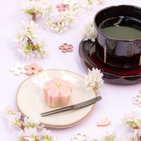季節を感じる桜の練りきりと緑茶のティータイムの写真
