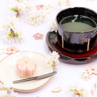 桜の花の形をした練り切りの和菓子と抹茶の緑茶の写真