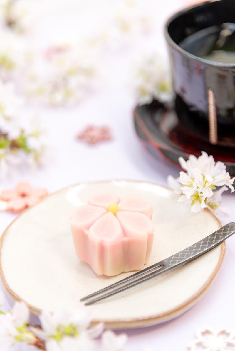白い皿の上に淡いピンク色の桜の練り切りと白い小菊、奥に緑茶の茶器