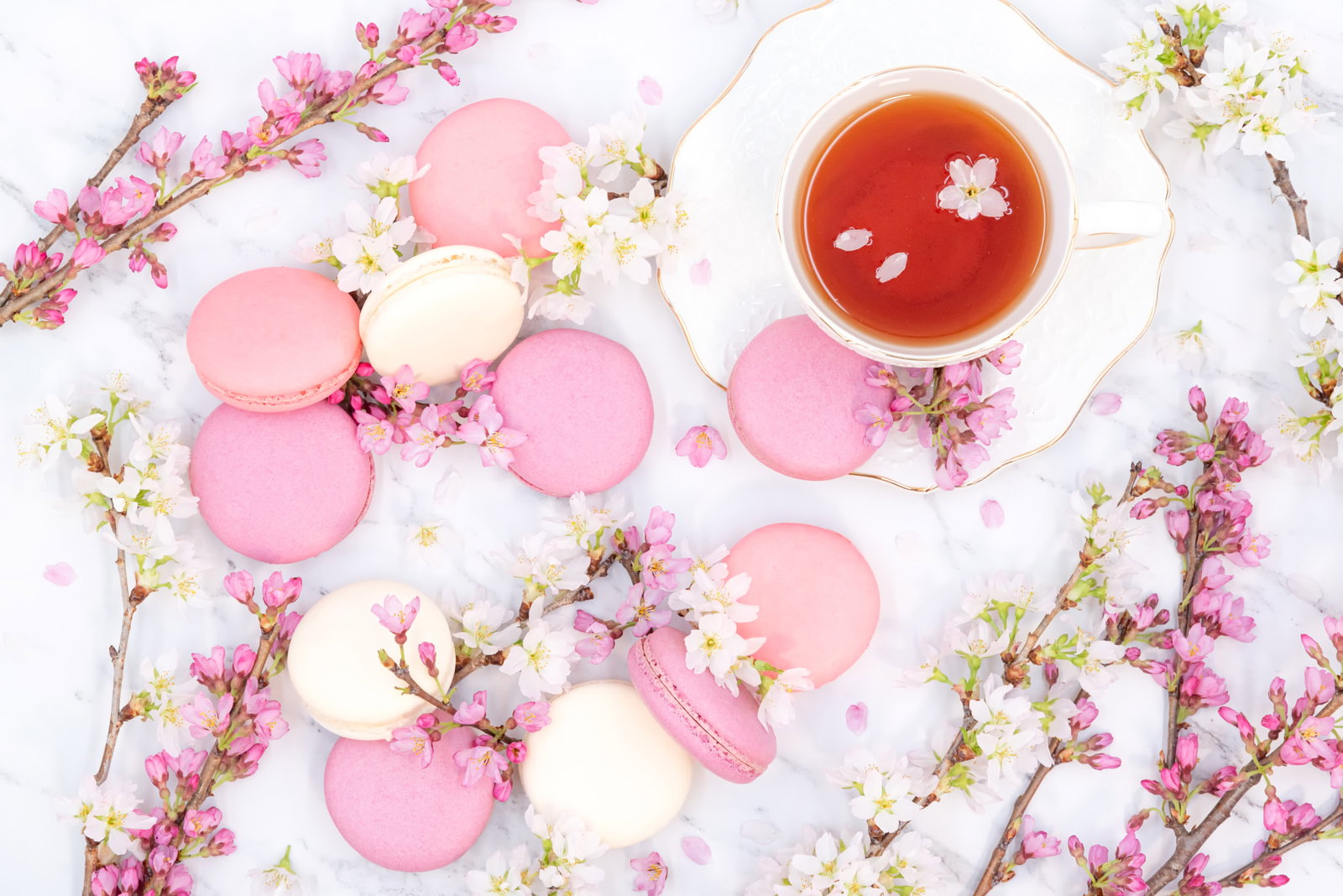 白い背景にピンクのマカロンと桜の花びらが散りばめられ、紅茶のカップが置かれた春らしいティータイムの写真