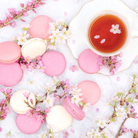 桜の花びらとピンクのマカロンで彩るティータイムの写真