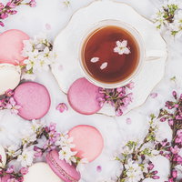 ピンクのマカロンと桜の花弁が浮かぶティータイムの写真