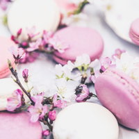 淡いピンクの桜の花とマカロンの春の配置、フランス菓子の上品さの写真