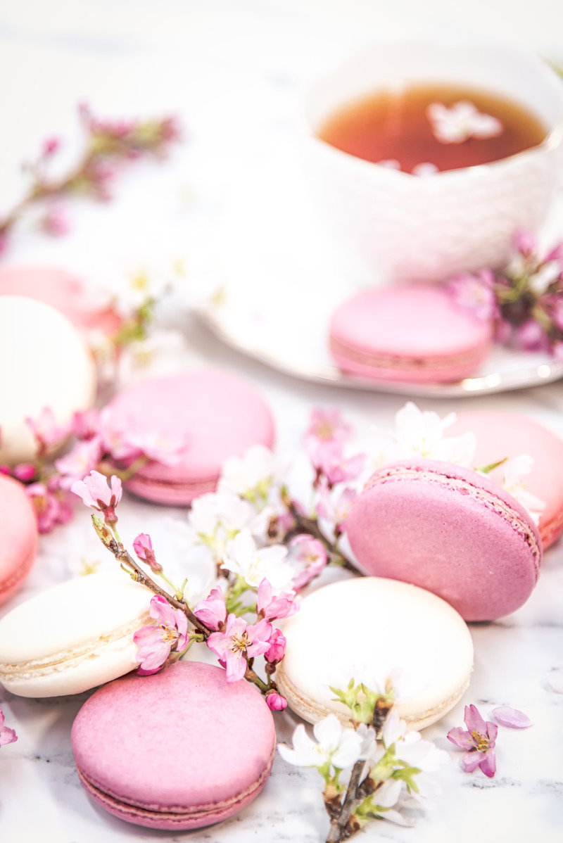 桜の花びらとピンク色のマカロンが白い食器に盛り付けられたティータイムの静物写真