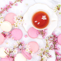 桜の枝に囲まれたピンクと白のマカロンとティーカップの写真
