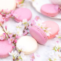 桜の枝に添えたピンクと白のマカロン、春のスイーツの写真