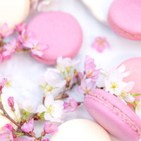ピンクのマカロンと満開の桜の枝の春のお菓子の写真
