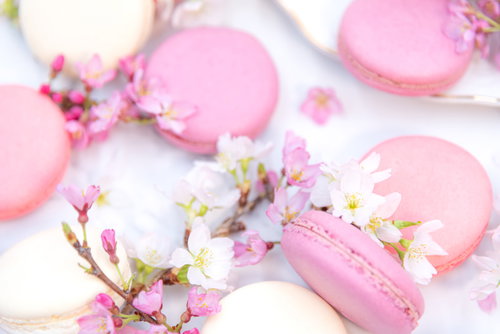 ピンクのマカロンと満開の桜の枝の春のお菓子