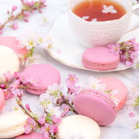 ピンクと白のマカロンと紅茶のティータイムの写真