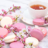 桜の花とマカロンが並ぶティータイムの紅茶の写真