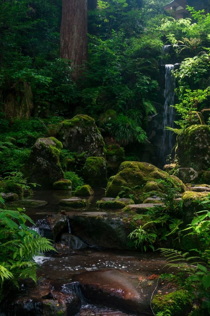 苔むした岩と滝のある森の小川、背景に日本家屋が見える庭園風景