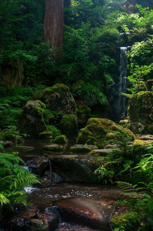 みどりの森の小川と苔むした岩。清流と渓流の自然風景の写真