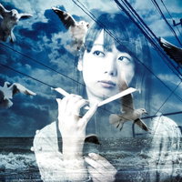 詠唱したらカモメが出てきた（フォトモンタージュ）の写真