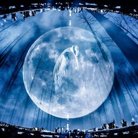 満月と鶴が舞う夜空のフォトモンタージュ作品の写真