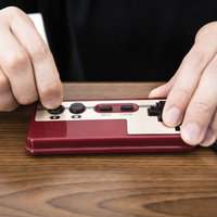 ファミコンで16連打を披露する男性の写真